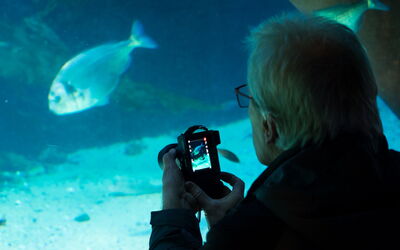 Ein Teilnehmer des Fotoworkshops im Zoo bei einer Bildaufnahme im Aquarium