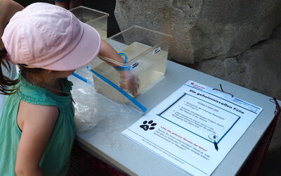 Ein Kind führt am Forschertag ein Experiment durch