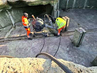 Mitarbeiter der Fa. Stehnke beseitigen den Rohrbruch im Becken der Seebären