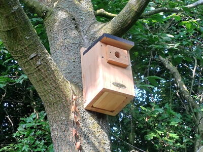 Nistkasten an einem Baum im Zoo