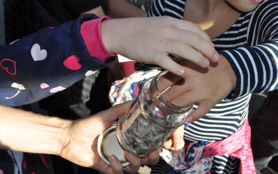 Kinder dürfen während des Zooschul-Unterrichtes Pinguin-Federn anfassen