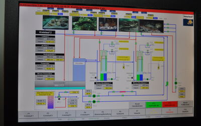 Touchscreen Nordsee-Aquarium