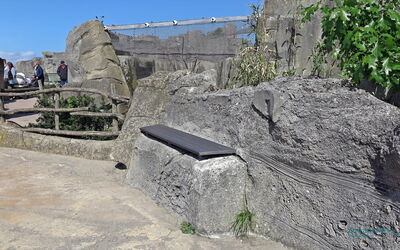 Im Zoo sind überall Bänke verteilt, die zum Verweilen einladen