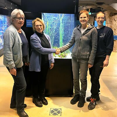 Von links nach rechts zeigt das Bild: Die stellv. Vorsitzende des Fördervereins, Frau Ilse Wrede, die Vorsitzende des Fördervereins, Frau Helga Düring, die Geschäftsführerin/Zoodirektorin des Zoos, Frau Dr. Heike Kück sowie die Kuratorin des