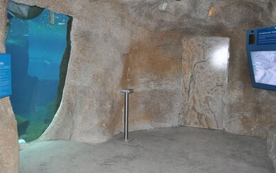 Der Eingang des Nordsee-Aquariums befindet sich neben der Unterwasser-Scheibe der Eisbären