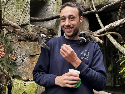 Tierarzt Fabian Müller-Trefzer füttert die Kaiserschnurrbarttamarine