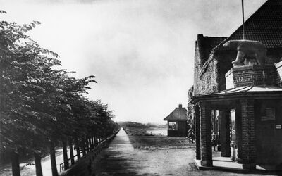 Tiergrotten mit Suse I