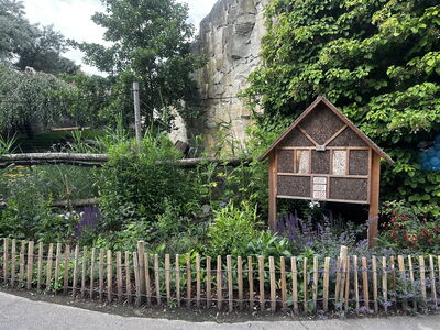 Ansicht Insektenwiese mit Insektenhotel