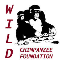 Hilfe für Schimpansen (Stiftung zum Schutz wildlebender Schimpansen –  WCF – Wild Chimpanzee Foundation – Germany e. V.)
