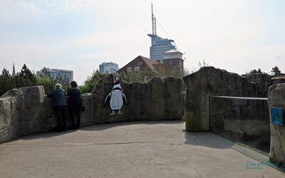 Der Rundweg, der durch den Zoo führt, verfügt größtenteils über breite Wege