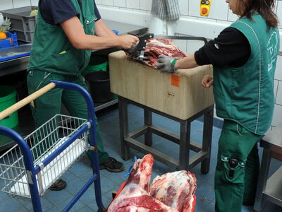 Tierpflegerinnen Marina Wiebalk und Katja Seedorf stehen in der Futterküche und zersägen Fleisch, welches die Tiere zu fressen bekommen