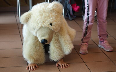 Ein Kind verkleidet sich als Eisbär, um an dem Rollenspiel in der Zooschule teilzunehmen