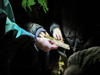 Bei einer Nachtführung zeigen Mitarbeiter des Zoos Felle der Tiere