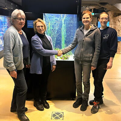 Von links nach rechts zeigt das Bild: Die stellv. Vorsitzende des Fördervereins, Frau Ilse Wrede, die Vorsitzende des Fördervereins, Frau Helga Düring, die Geschäftsführerin/Zoodirektorin des Zoos, Frau Dr. Heike Kück sowie die Kuratorin des